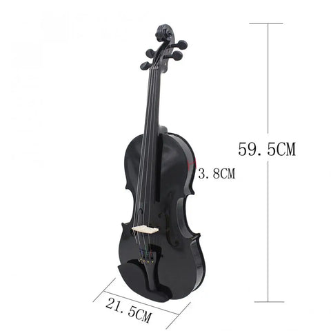 Violin 4/4 Full Size Black Acoustic Violin Fiddle with Case & Bow & Rosin for Violin Beginner Stringed Instruments