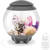 Mini Aquarium Modern Compact Water Tank for Desktop or Desktop Display Fish Tank Grey Fish Aquatic Pet Supplies