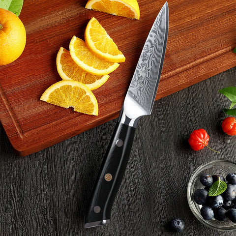 TURWHO 3.5 Inch Paring Knife 67 Layer Damascus Steel Fruit Knife Super Sharp Slicing Utility Vegetable Steak Knife Cooking Tool