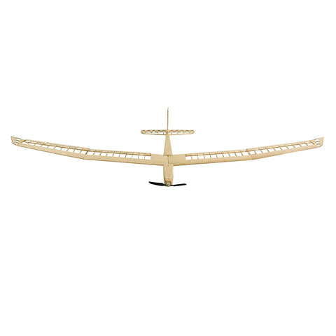 RC Plane Laser Cut Balsa Wood Airplanes F25 AION-25 Balsa glider kit 2500MM (98") Glider F3P Balsa Wood Model Building Kit