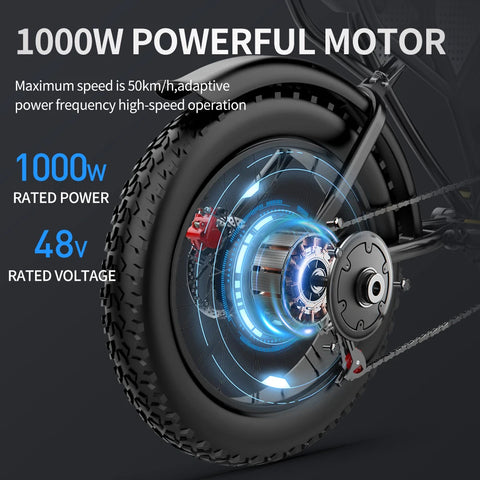 Ridstar Q20 Electric Adult Bike 2000W 48V 40AH Waterproof Powerful Dual motor 20" 4.0" Fat Tire for Mountain/Wet/Off-Road Terrain